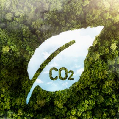 carbon credits